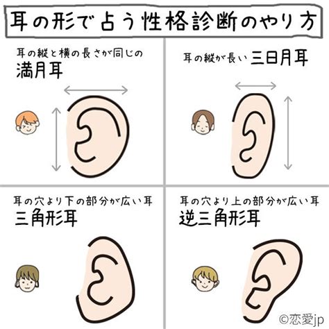 耳形相学|耳の形で性格や運勢がわかる！形ごとに解説します！。